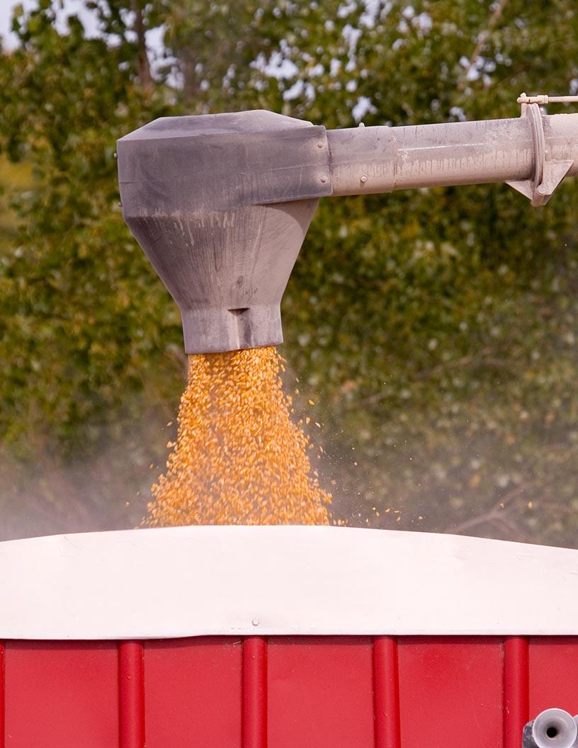 Global Grain Augers Market 2025-2029