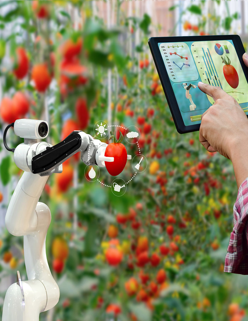 Global smart farming market 2024-2028