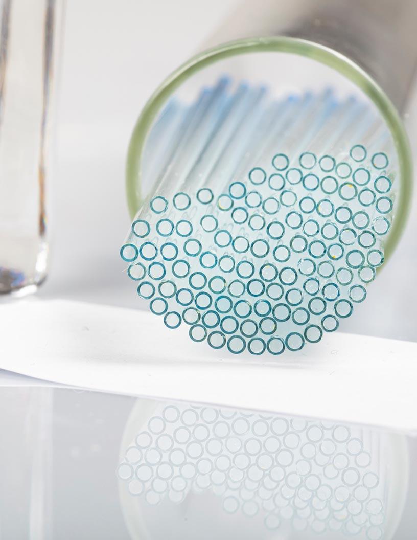 Global Capillary Electrophoresis Market 2025-2029