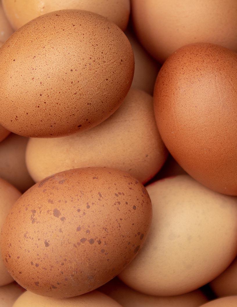Global Poultry Eggs Market 2025-2029