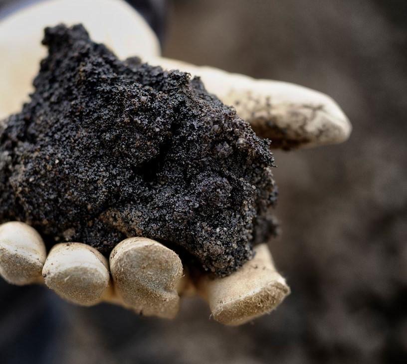 Global Coal Tar Pitch Market 2025-2029