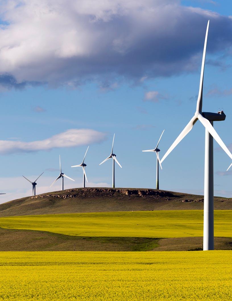 Global Wind Turbine Monitoring Systems Market 2025-2029