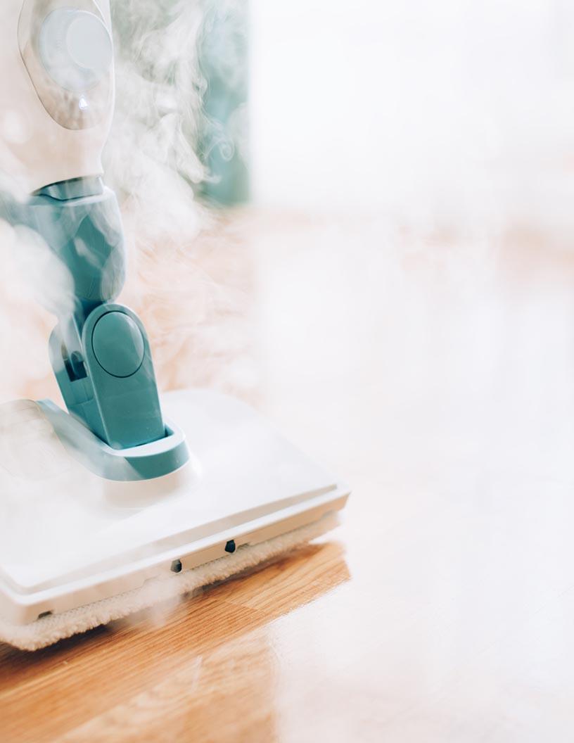 Global Steam Cleaner Market 2025-2029
