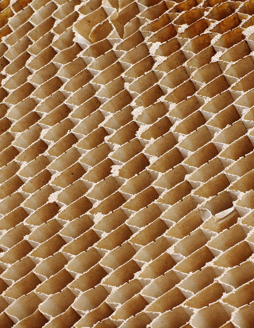 Honeycomb Packaging Market Growth Analysis: Trends, Drivers, and Vendor Forecasts for 2021-2025