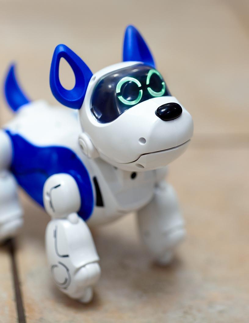 Global Social Robots Market 2025-2029