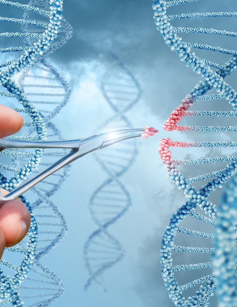 Global Genome Editing Market 2024-2028