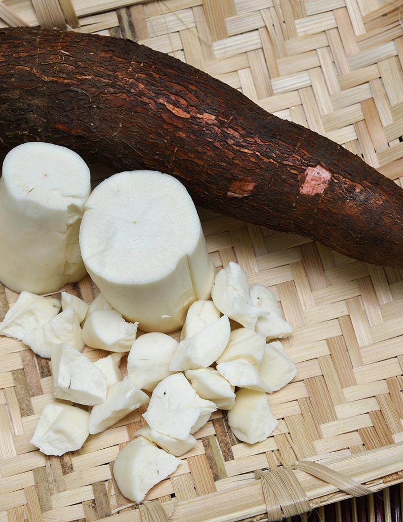 Global tapioca market 2024-2028