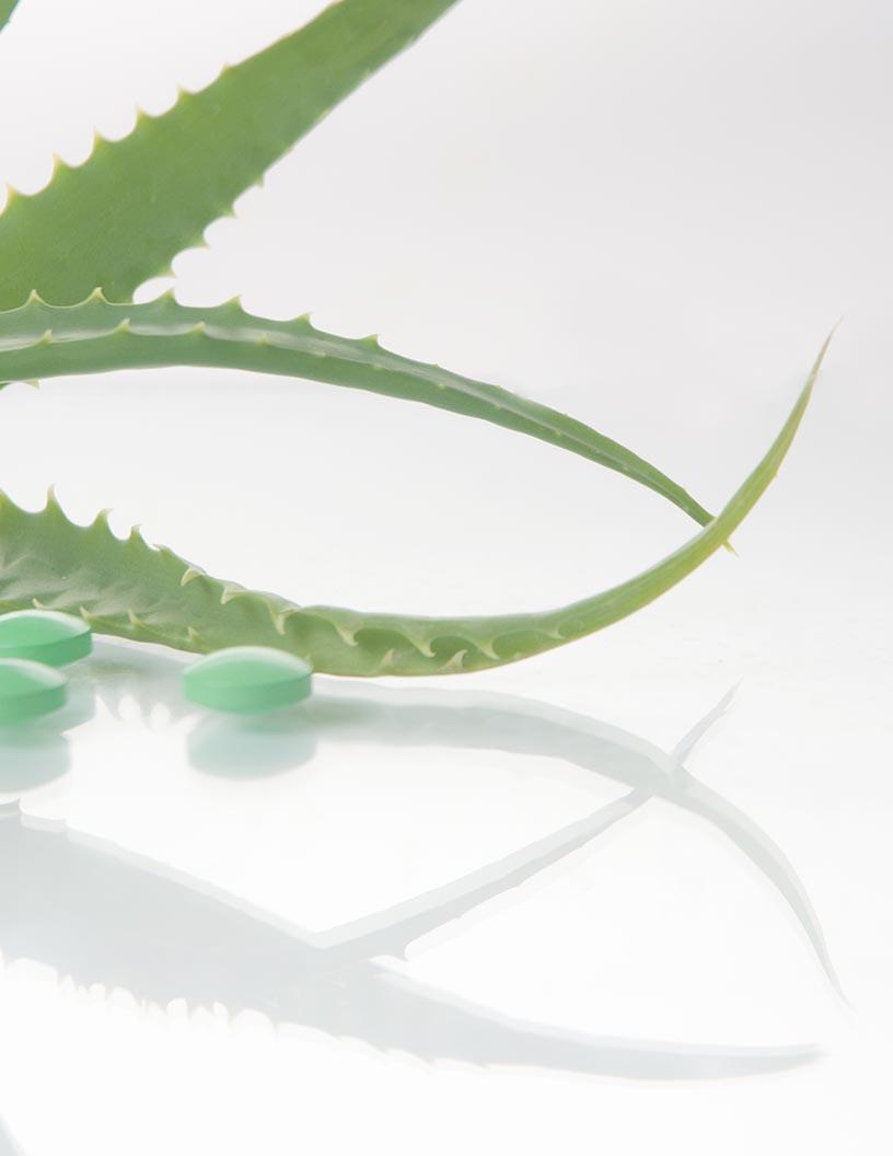 Global Botanical And Plant-Derived Drugs Market 2025-2029