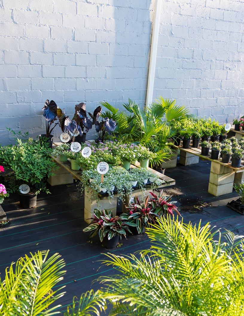 Global Home And Garden Products B2C E-Commerce Market 2025-2029