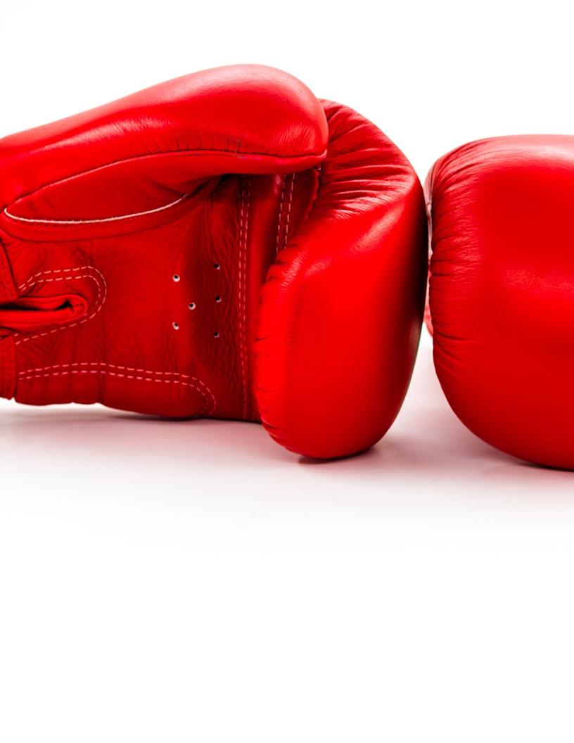 Global Boxing Equipment Market 2025-2029