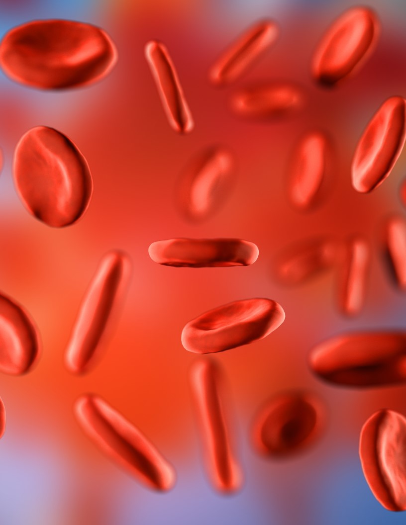 Global immunohematology market 2024-2028