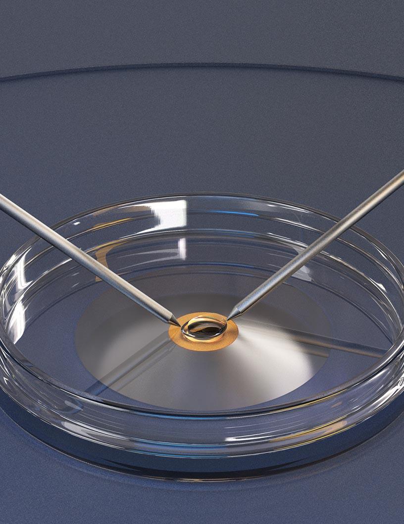 Global In Vitro Fertilization (IVF) Devices Market 2025-2029