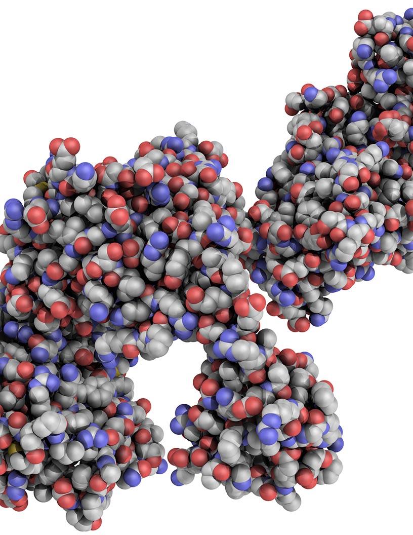 Global Proteomics Market 2025-2029