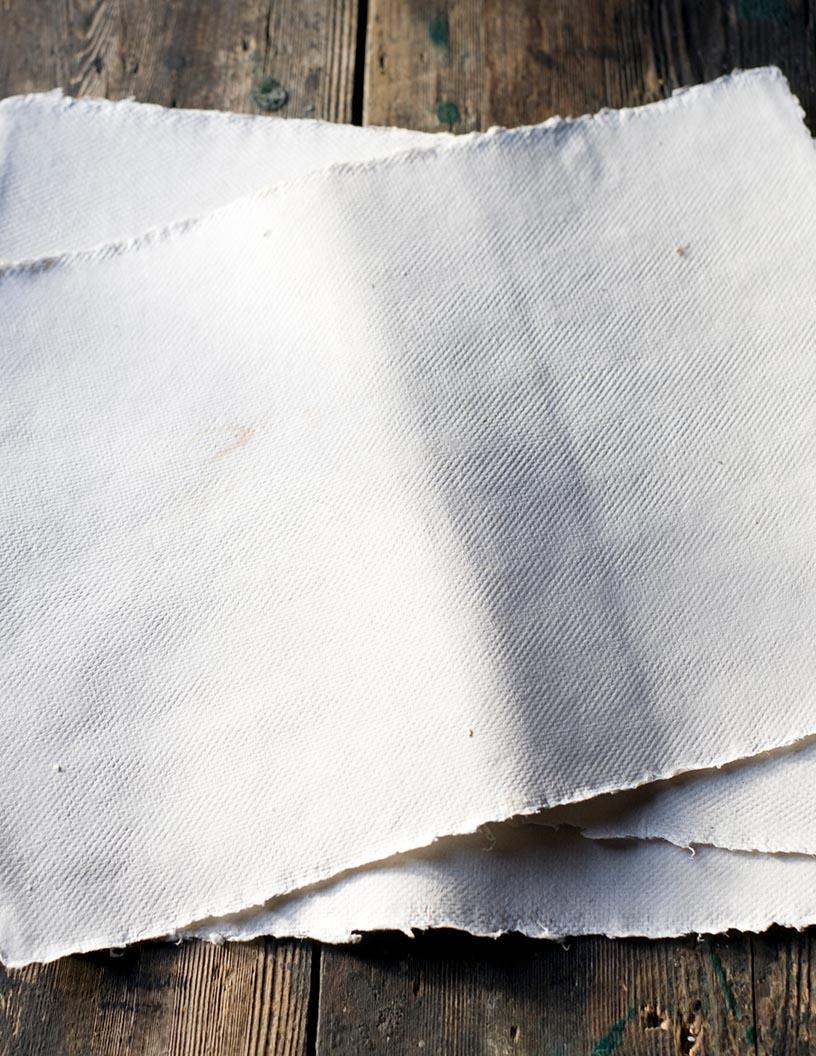 Global Bleached Eucalyptus Kraft Pulp Market 2025-2029