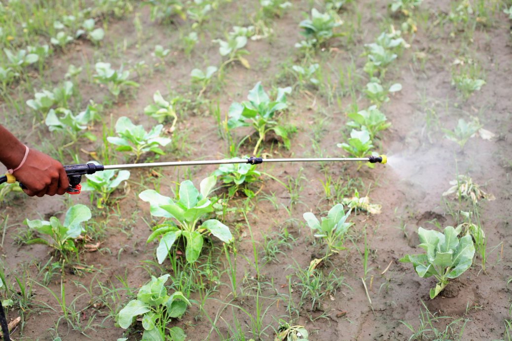 Top Drivers for Phosgene Market Size to Grow by $ 1.42 bn During 2021-2025