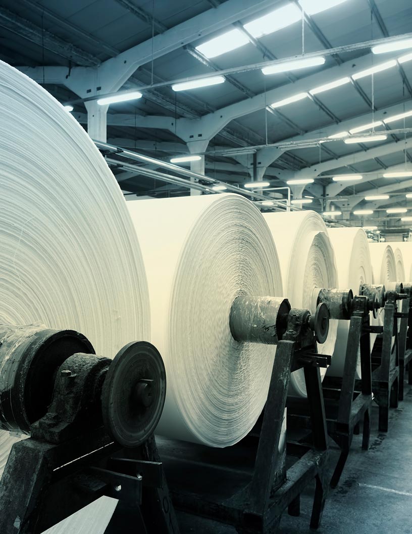 Global Biosoluble Mineral Fiber Market 2024-2028