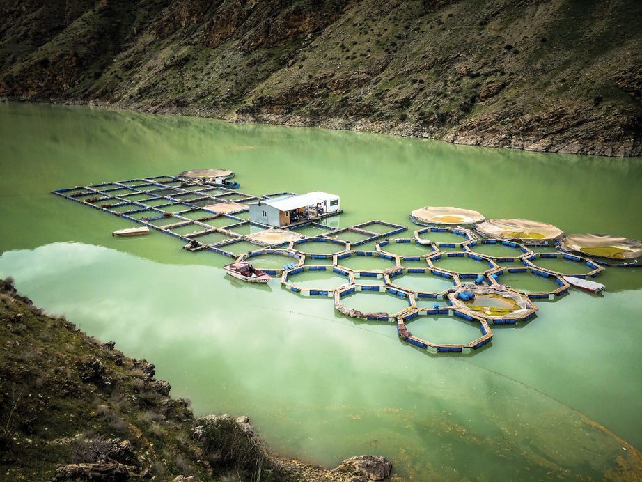 Aquaculture Market Share in Indonesia to Grow by 9240 Thousand Tons During 2021-2025