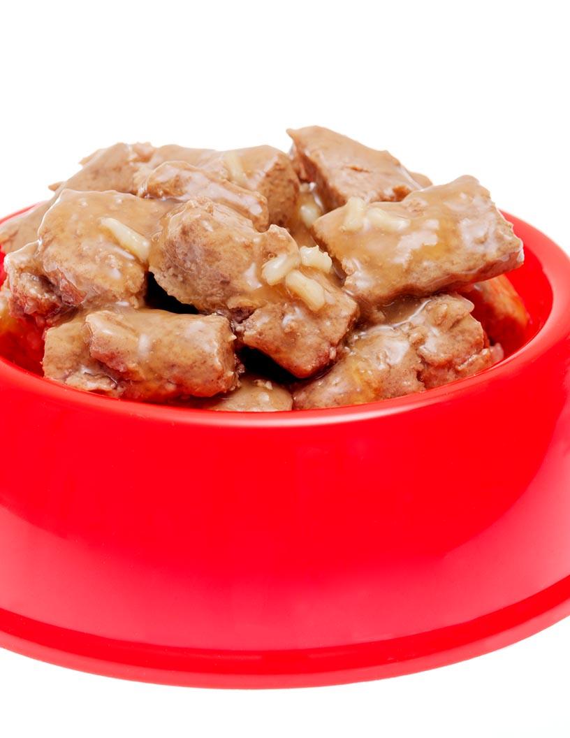 Fresh Pet Food Market in US 2025-2029