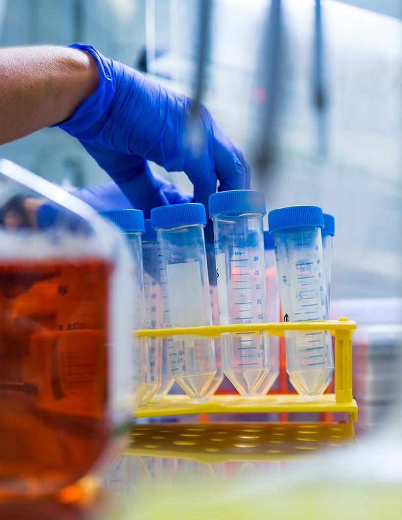 Global Oil Field Bio-Solvents Market 2025-2029
