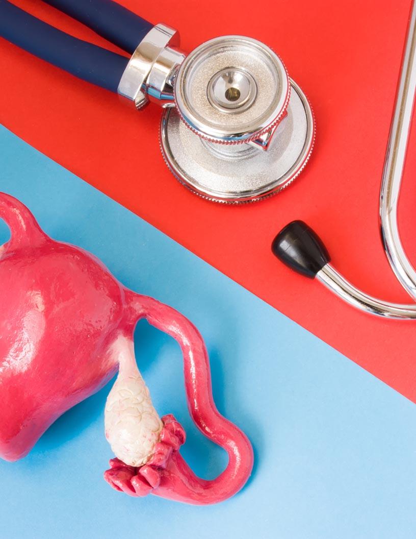 Global Female Sexual Dysfunction Treatment Market 2025-2029
