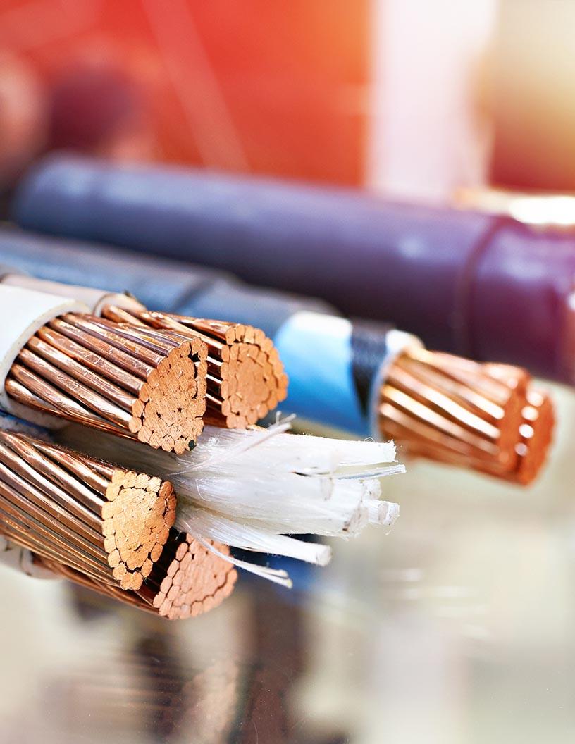 Electric Wire And Cable Market in India 2025-2029