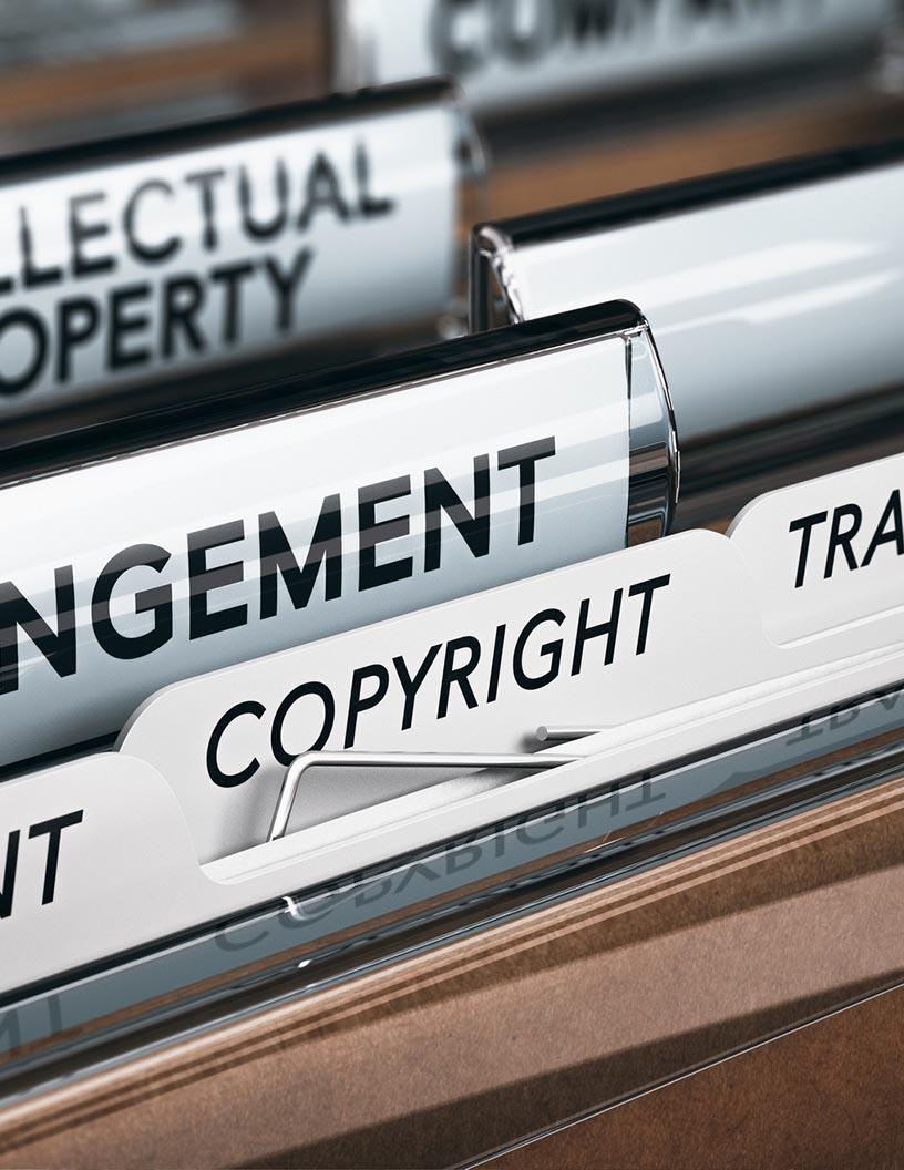 Global Intellectual Property Software Market 2025-2029