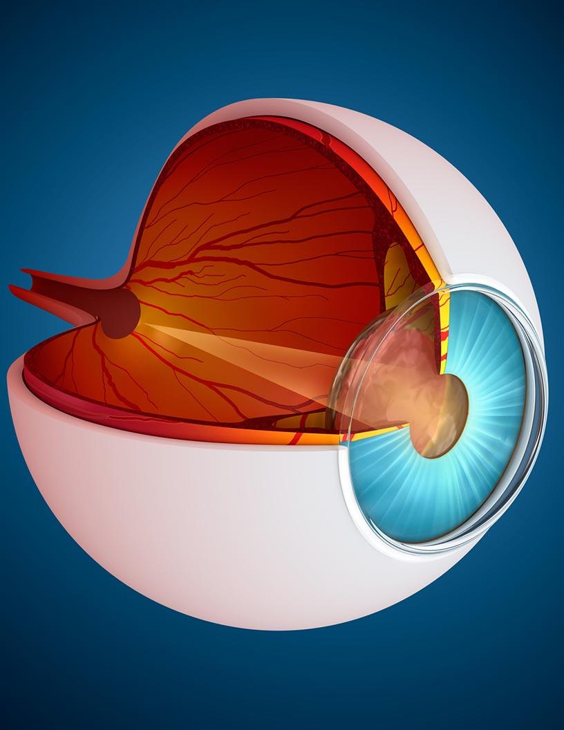 Global Age-Related Macular Degeneration Market 2025-2029