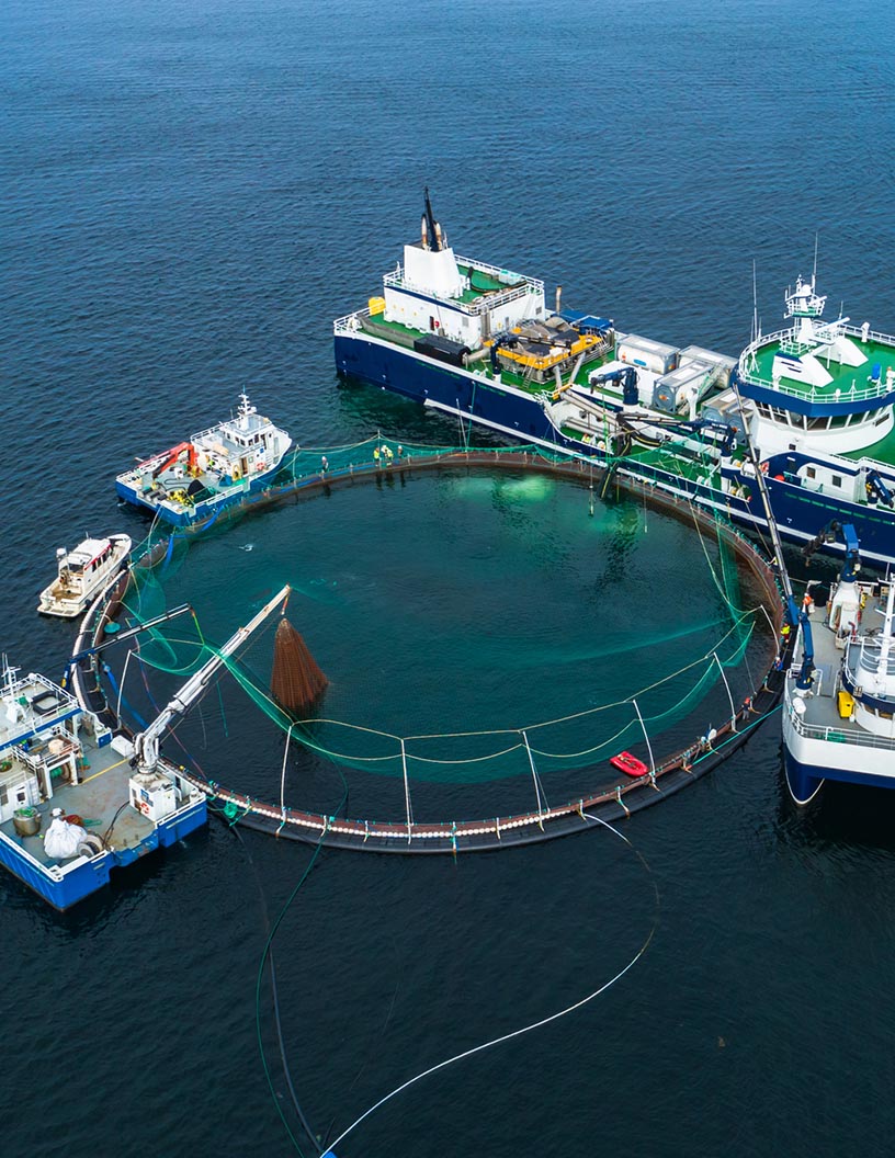 Global aquaculture cages market 2024-2028