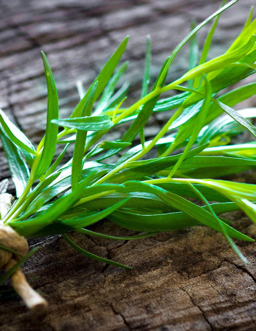 Global tarragon market 2024-2028