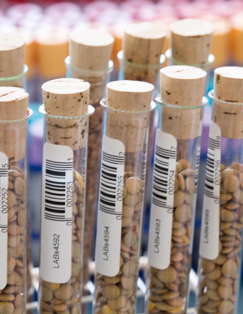 Global biobanking market 2024-2028