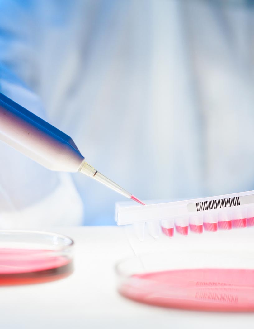 Global Cell Line Development Market 2024-2028