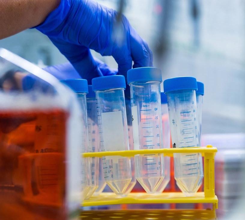 Global Green And Bio Solvent Market 2025-2029