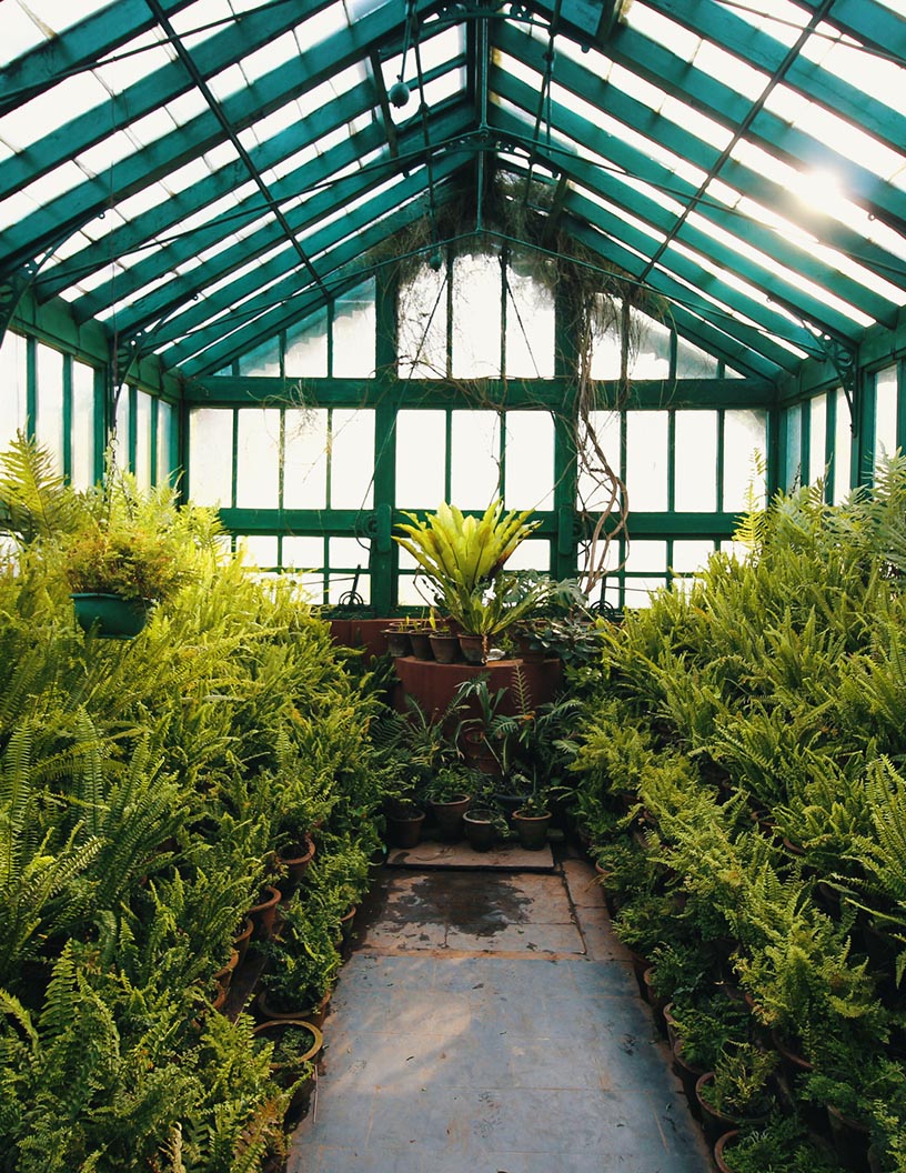 Global Greenhouse Market 2024-2028