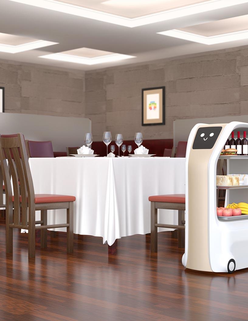 Global Service Robotics Market 2025-2029