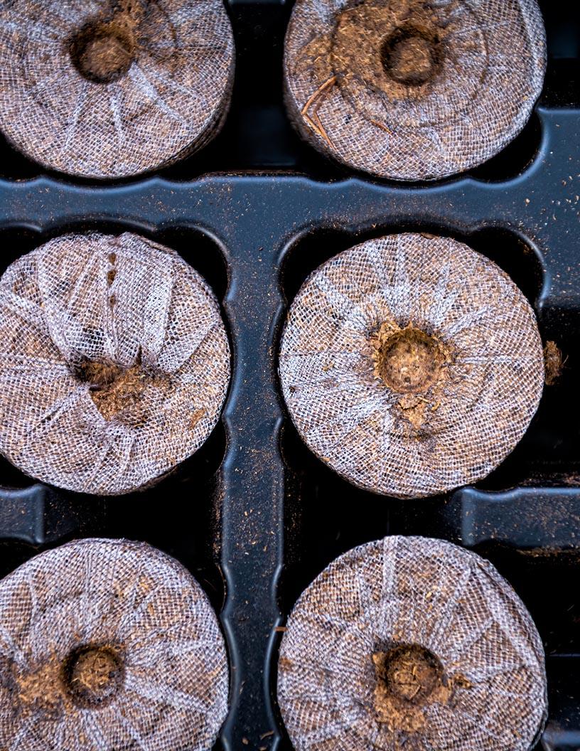 Global Germination Kits And Trays Market 2025-2029