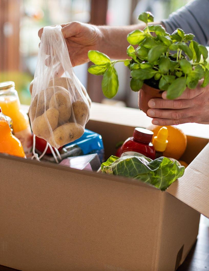 Online Grocery Market in India 2025-2029
