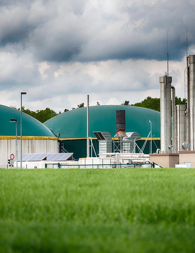 Global Biogas Market 2025-2029