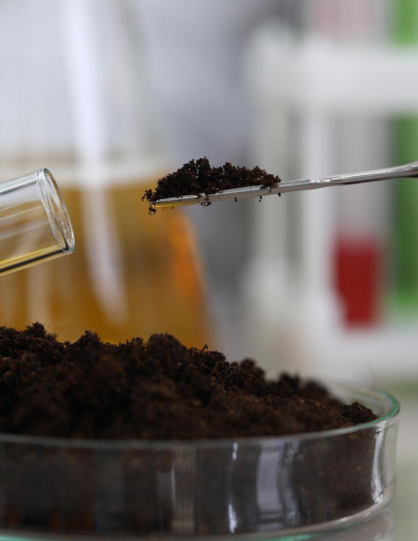 Global Specialty Fertilizers Market 2024-2028