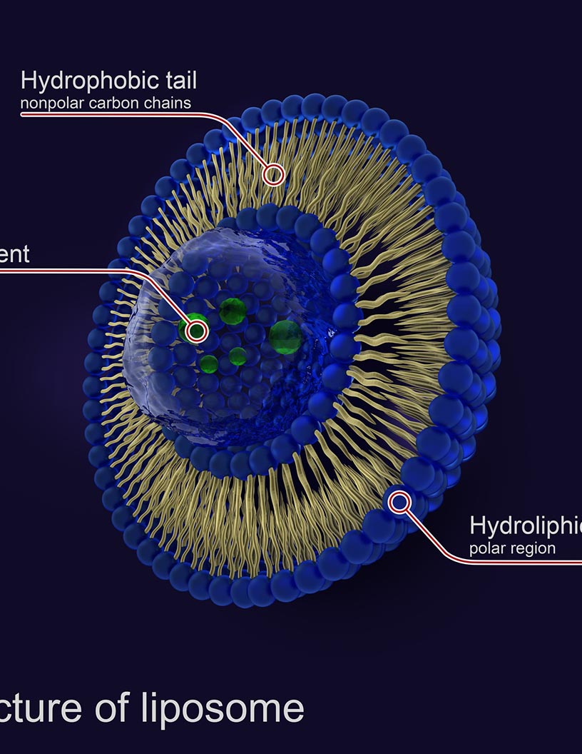 Global liposomal products market 2024-2028