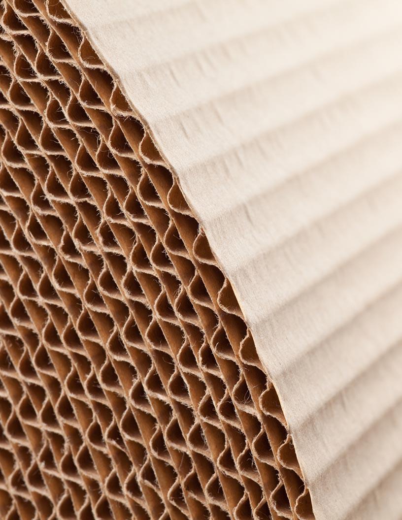 Global Fiber Based Packaging Market 2024-2028