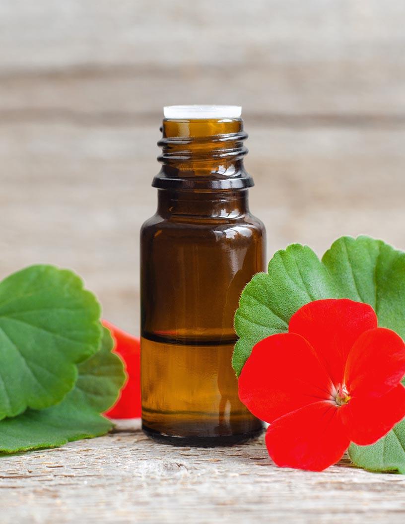 Geranium Oil Market in India 2025-2029