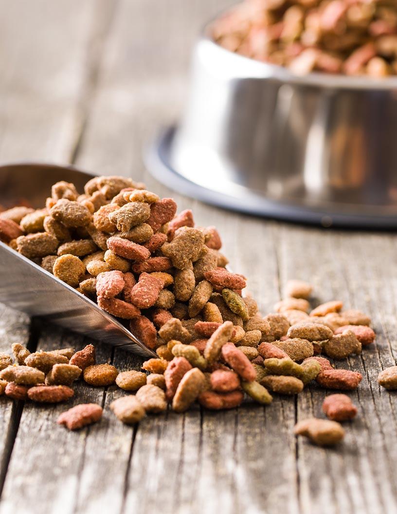 Global Frozen And Freeze Dried Pet Food Market 2025-2029