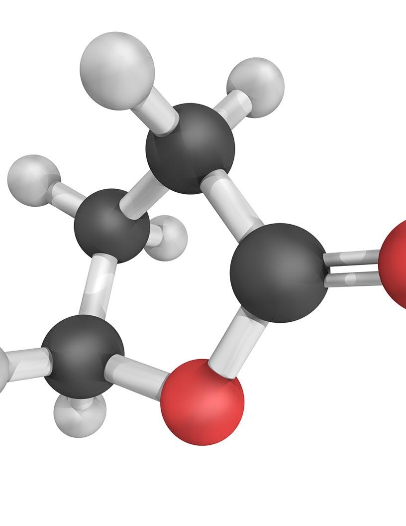 Global Gamma-Butyrolactone Market 2024-2028