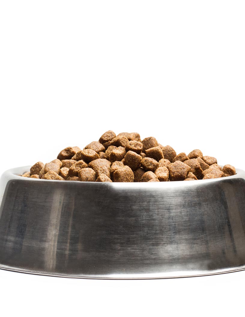 Global dog food market 2024-2028