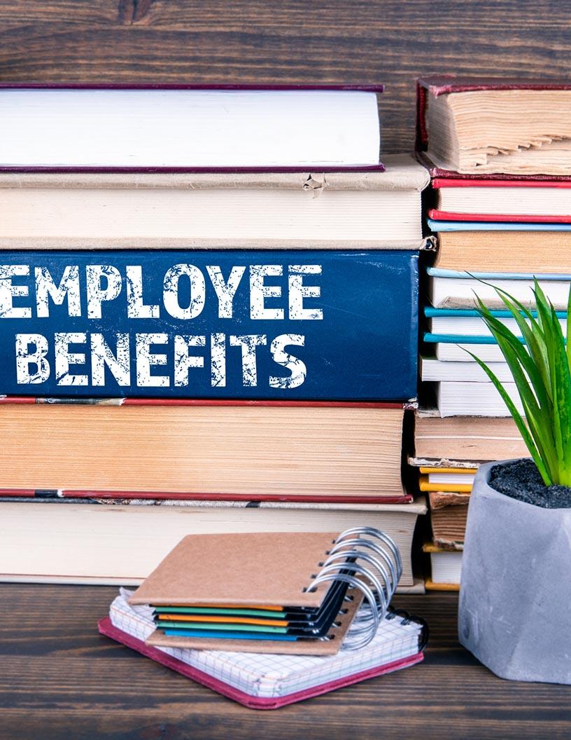 Meal Vouchers And Employee Benefit Solutions Market in Brazil 2025-2029