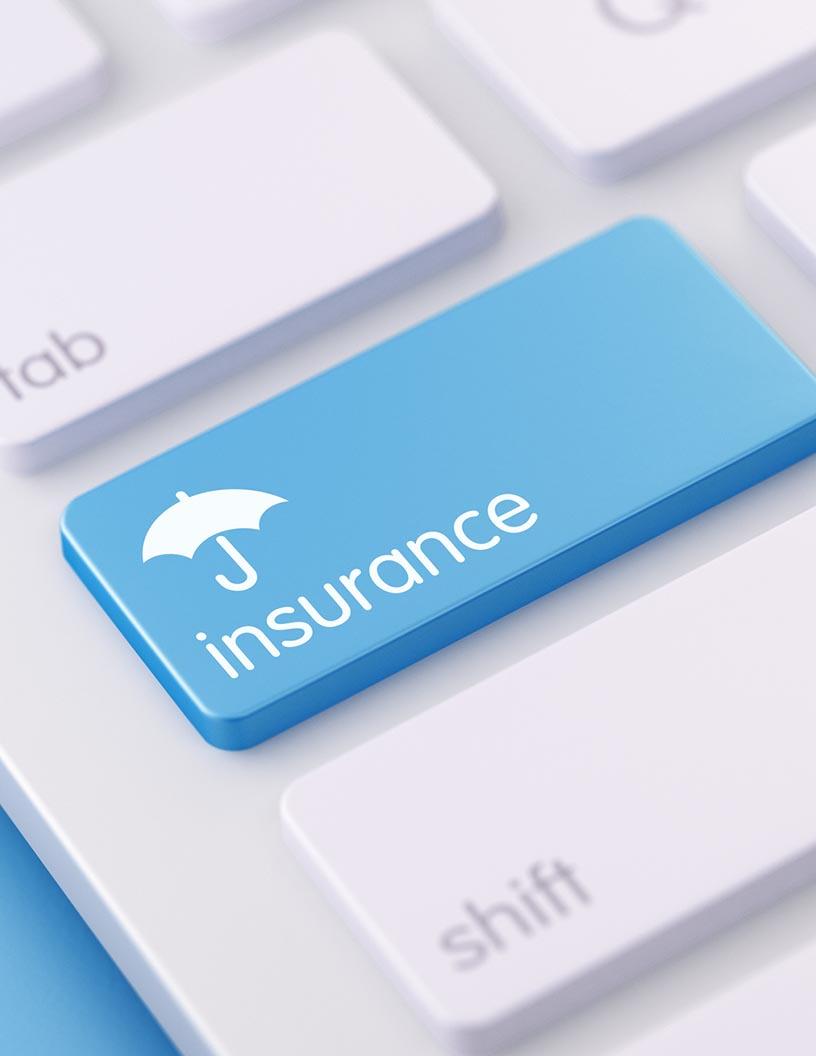 Insurance Market in Japan 2025-2029