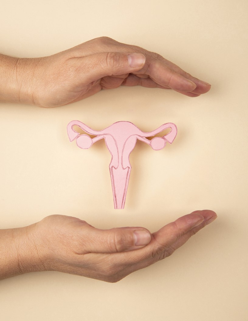Global hysterometers market 2024-2028