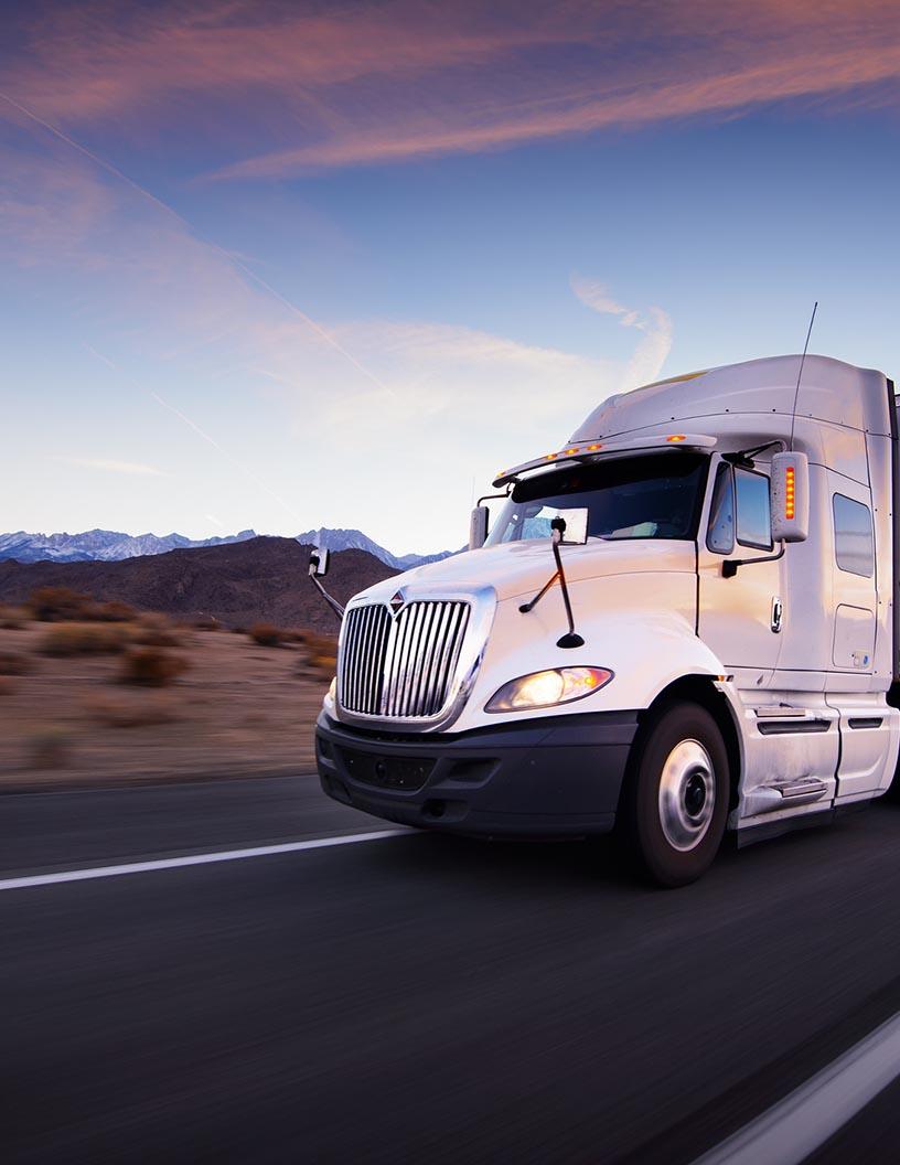 Global Heavy-Duty Trucks On-Board Diagnostics System Market 2025-2029