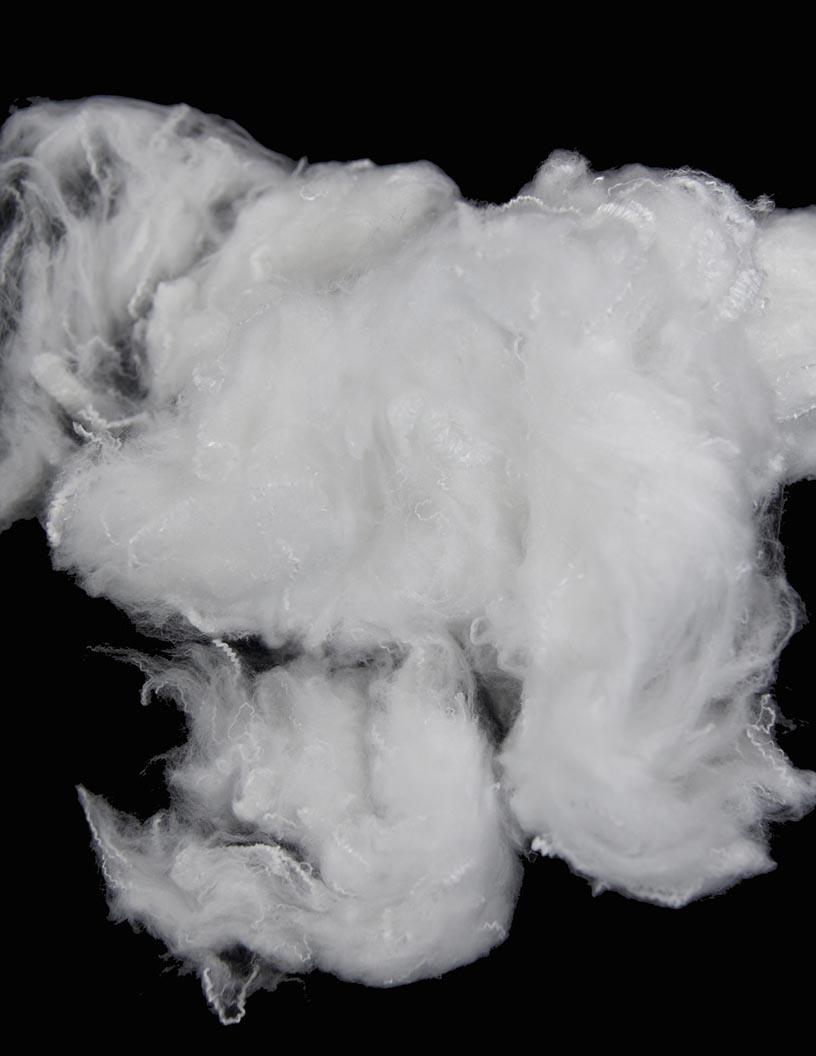 Global Polyester Staple Fiber (PSF) Market 2025-2029