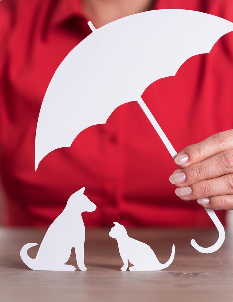 Global Pet Insurance Market 2025-2029